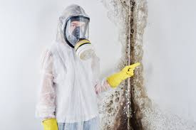 Asbestos and Lead Testing During Mold Inspection in Monroe City, MO